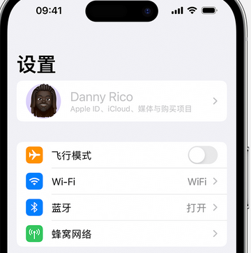 坡心镇appleID维修服务iPhone设置中Apple ID显示为灰色无法使用