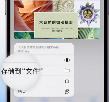 坡心镇apple维修中心分享iPhone文件应用中存储和找到下载文件