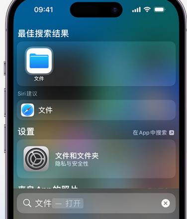 坡心镇apple维修中心分享iPhone文件应用中存储和找到下载文件