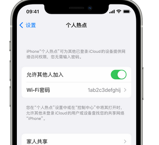 坡心镇apple服务站点分享iPhone上个人热点丢失了怎么办 