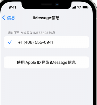 坡心镇apple维修iPhone上无法正常发送iMessage信息 