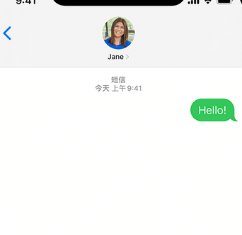 坡心镇apple维修iPhone上无法正常发送iMessage信息