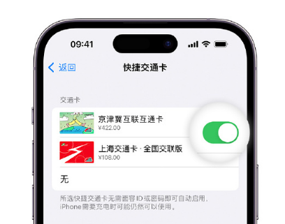 坡心镇apple维修点分享iPhone上更换Apple Pay快捷交通卡手绘卡面 