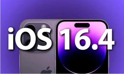 坡心镇苹果14维修分享：iPhone14可以升级iOS16.4beta2吗？ 