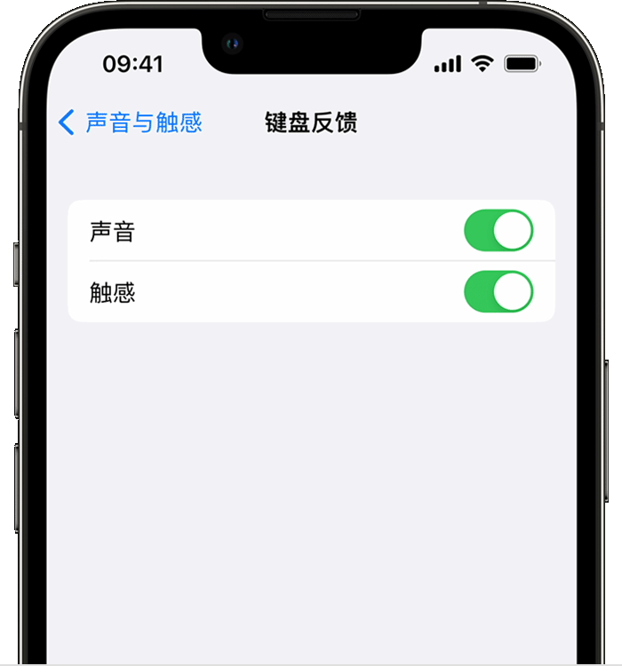 坡心镇苹果14维修店分享如何在 iPhone 14 机型中使用触感键盘 