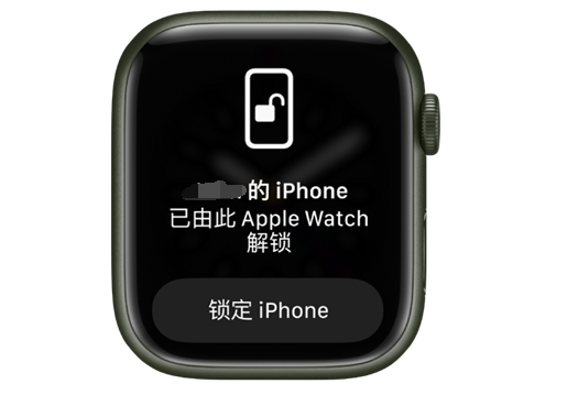 坡心镇苹果手机维修分享用 AppleWatch 解锁配备面容 ID 的 iPhone方法 