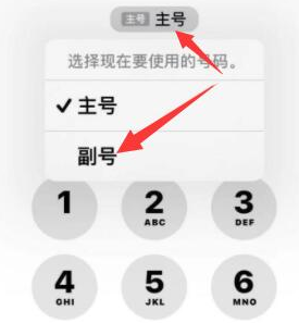 坡心镇苹果14维修店分享iPhone 14 Pro Max使用副卡打电话的方法 