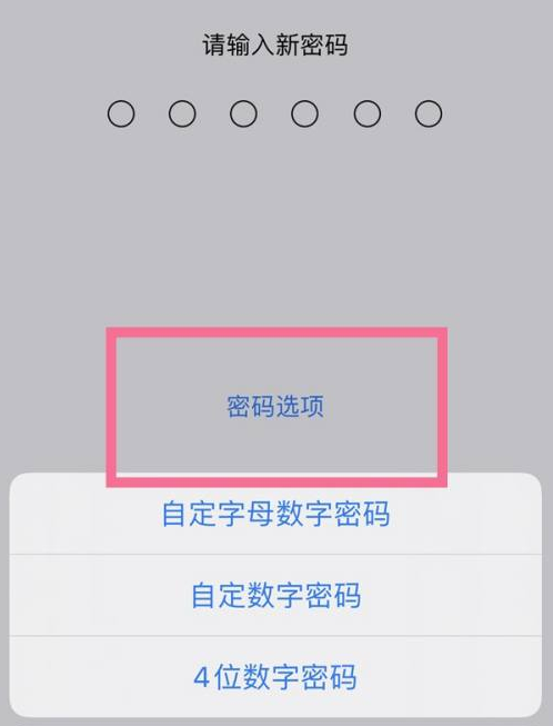 坡心镇苹果14维修分享iPhone 14plus设置密码的方法 