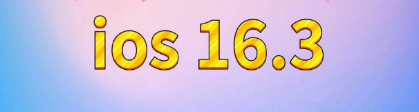 坡心镇苹果服务网点分享苹果iOS16.3升级反馈汇总 