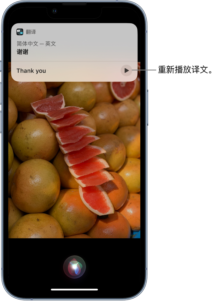 坡心镇苹果14维修分享 iPhone 14 机型中使用 Siri：了解 Siri 能帮你做什么 