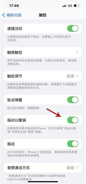 坡心镇苹果手机维修分享iPhone手机如何设置摇一摇删除文字 