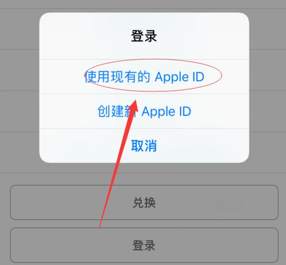 坡心镇苹果手机维修分享两台iPhone设备可以同时登录一个Apple ID吗 