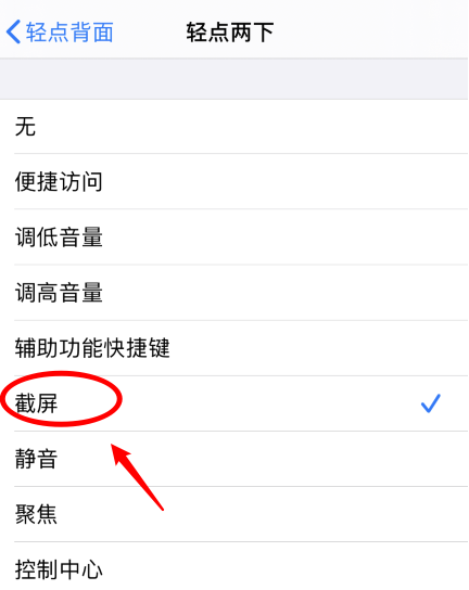 坡心镇苹果手机维修分享iPhone12如何启用双击截屏 